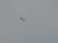 DSC00863.JPG